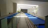 4-Piscina