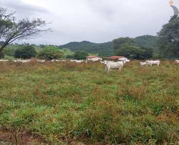 Zona Rural, Itaberaí - GO 