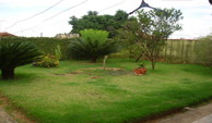 24 - Quintal