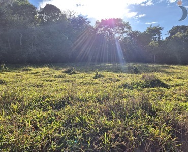 Zona Rural, Goianésia - GO 